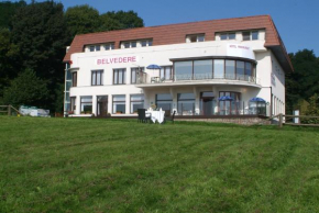 Отель Hotel Belvedere  Вестоутер
